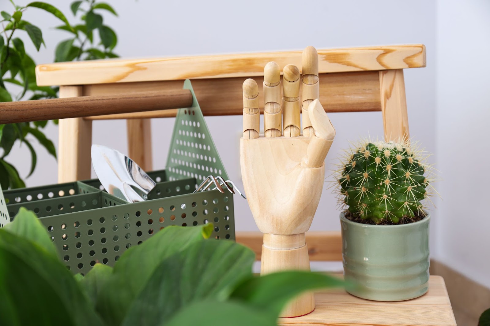 A cozy living room with a Snake Plant in a decorative pot on a wooden coffee table, surrounded by other green houseplants, a grey sofa with a green blanket, and wooden cabinets in the background.