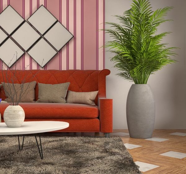 Vibrant living room with red sofa, coffee table, and indoor plant – Cottonyard, leading home furnishing store Ahmedabad and furniture store Ahmedabad.